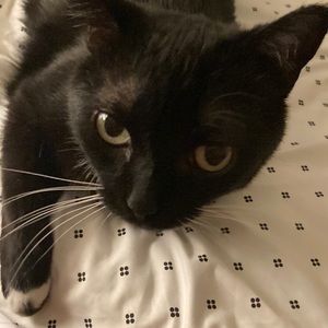 Meet your Posher, Nancy